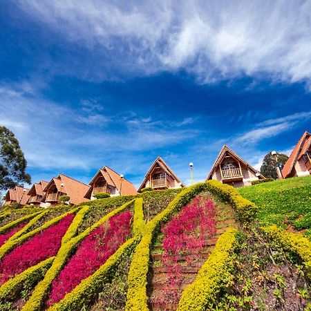 Vila Chalets Suizos Zapatoca Exteriér fotografie